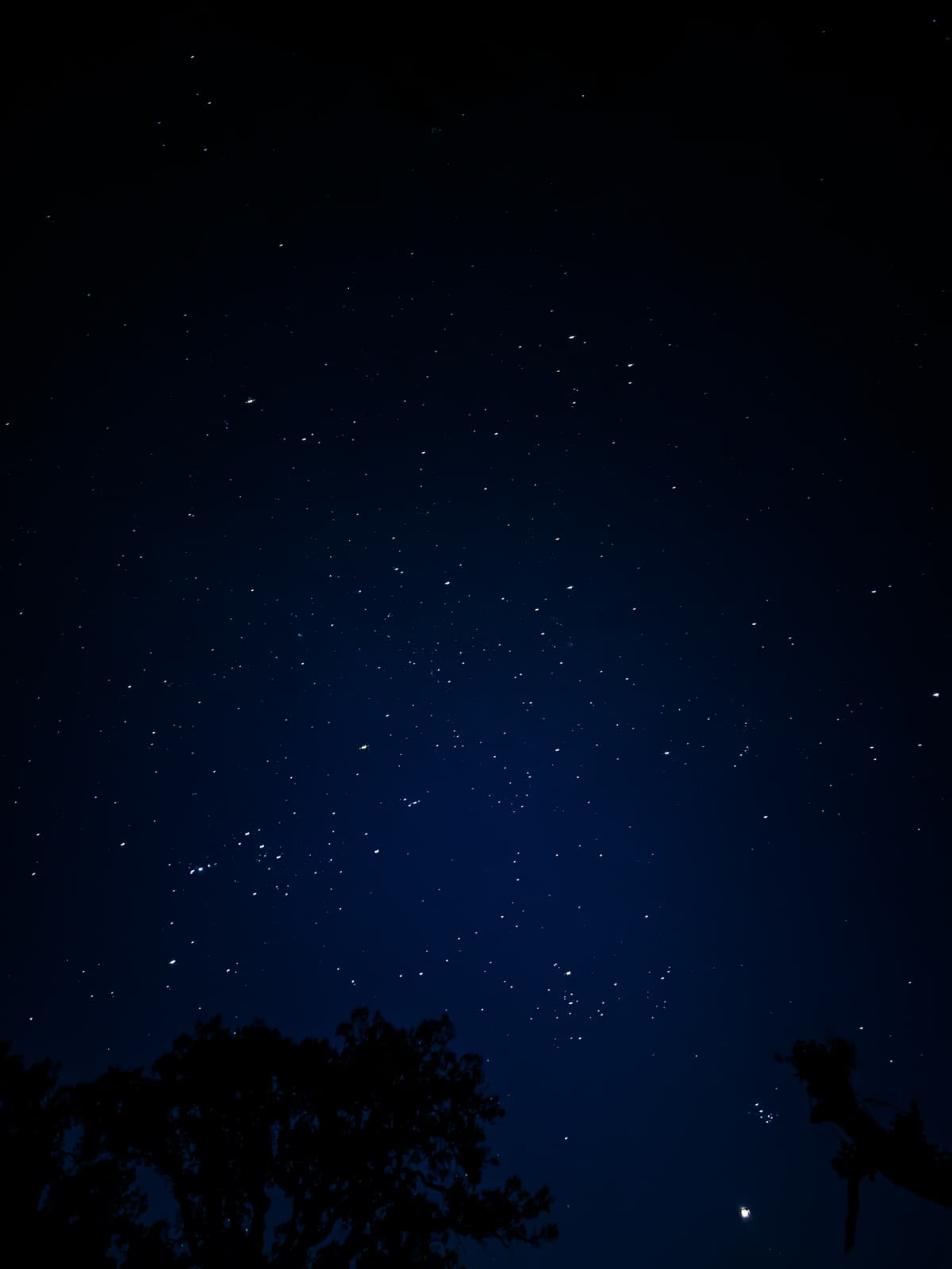 Photo taken on April 7, 2023 by 2210132G