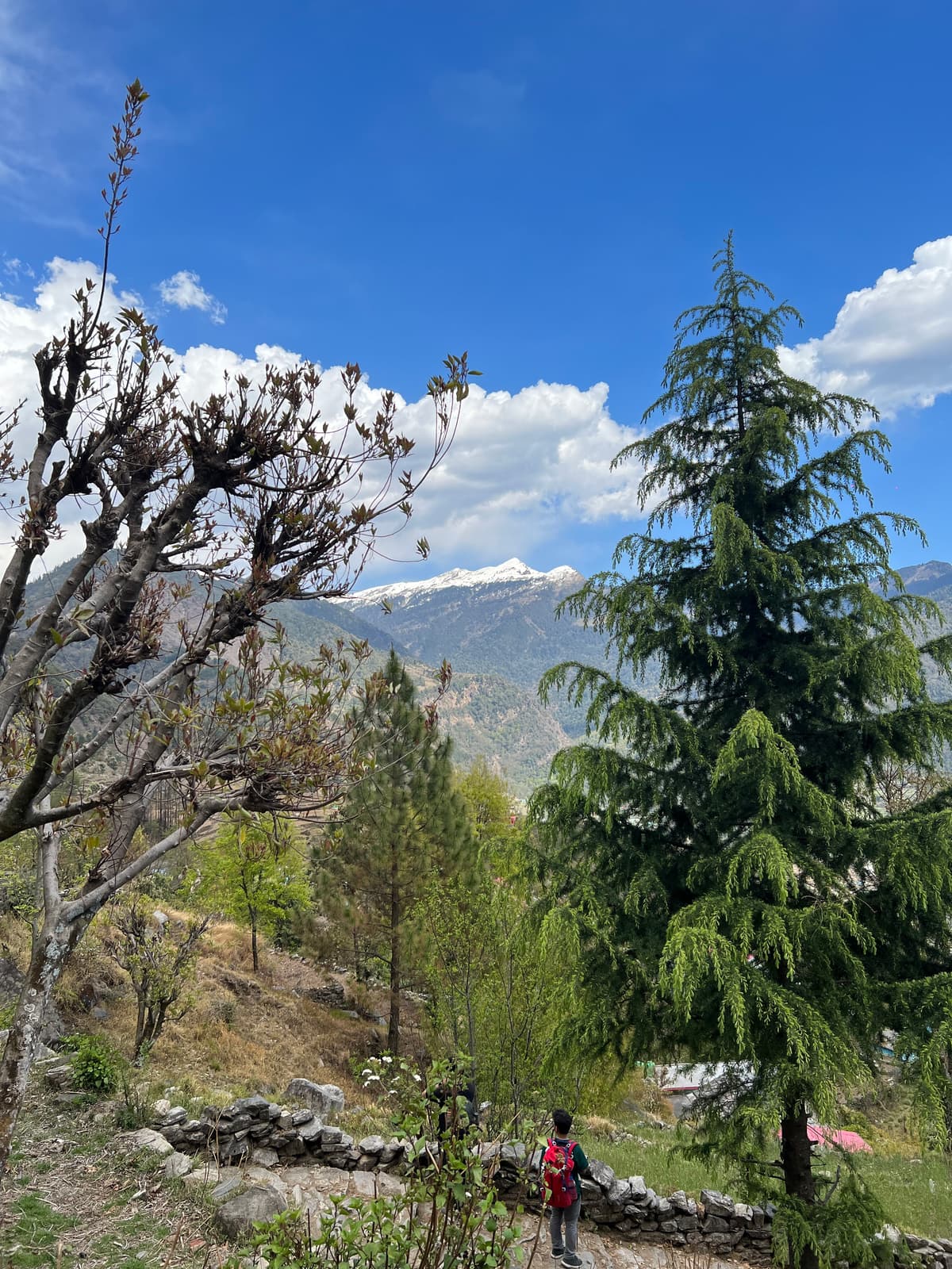 Photo taken on April 7, 2023 by iPhone 13 Pro