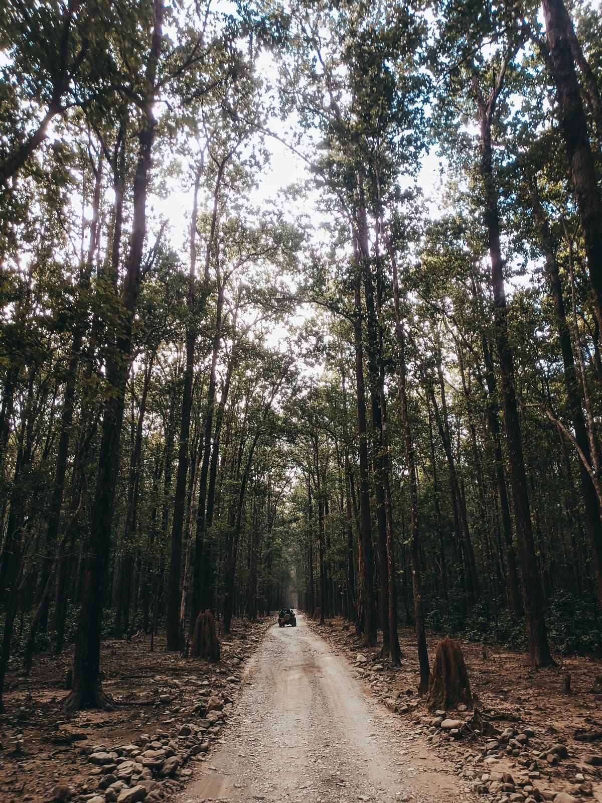 Photo taken on November 20, 2021 by POCO F1 (beryllium)